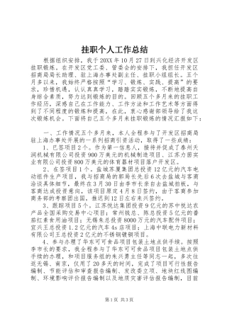 挂职个人工作总结