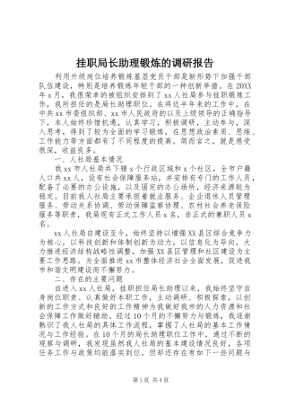 挂职局长助理锻炼的调研报告