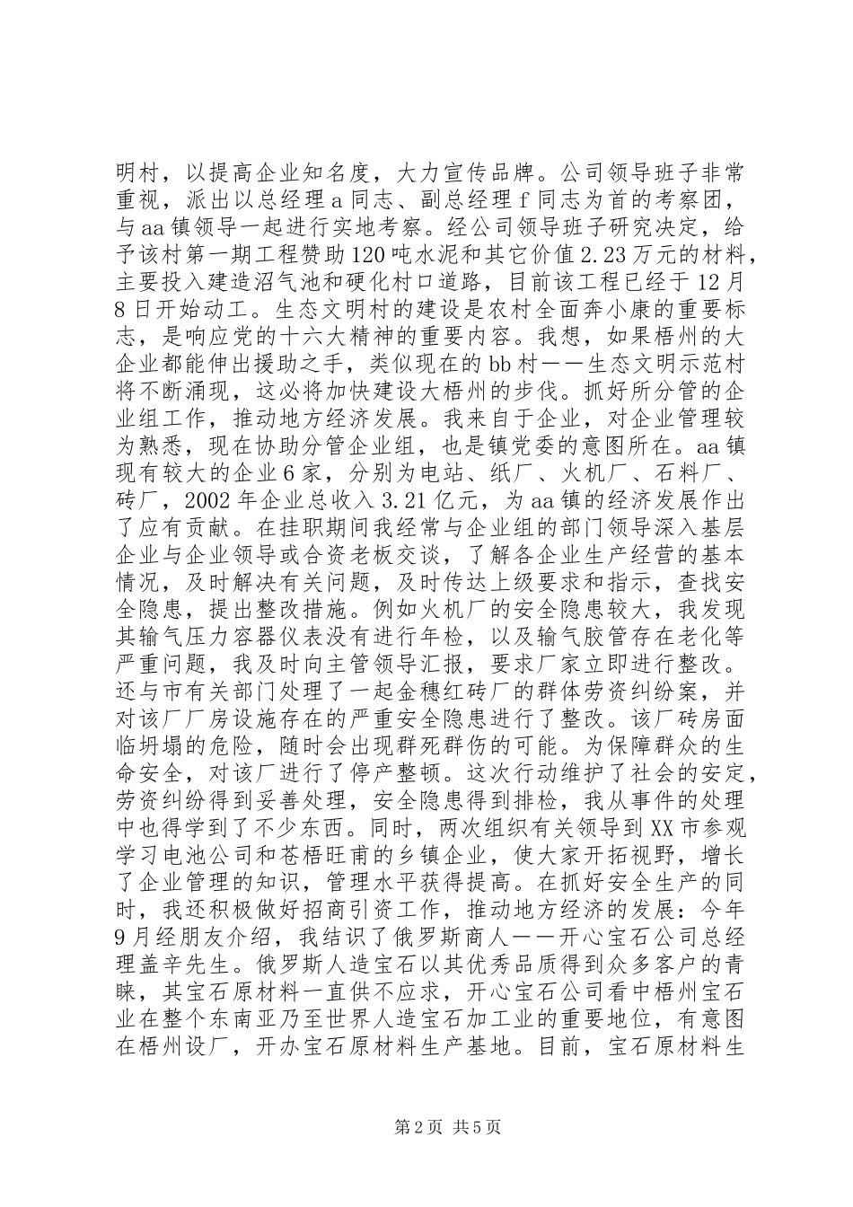 挂职期间工作总结_第2页