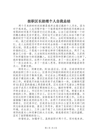 挂职区长助理个人自我总结