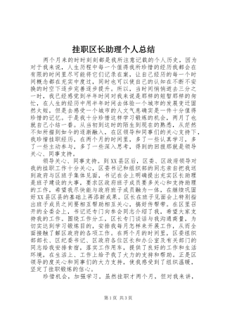 挂职区长助理个人总结
