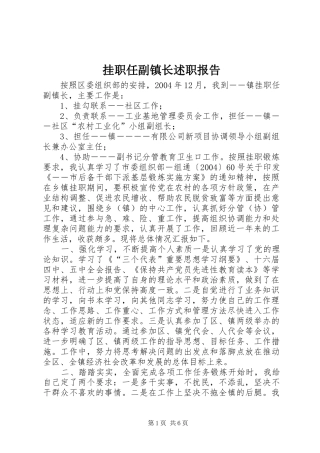 挂职任副镇长述职报告