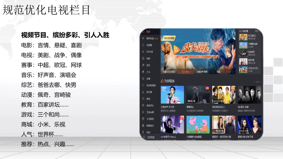 OTT运营策划方案_第2页