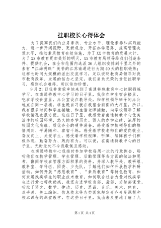 挂职校长心得体会