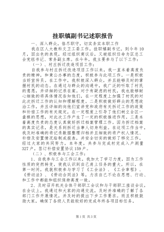 挂职镇副书记述职报告