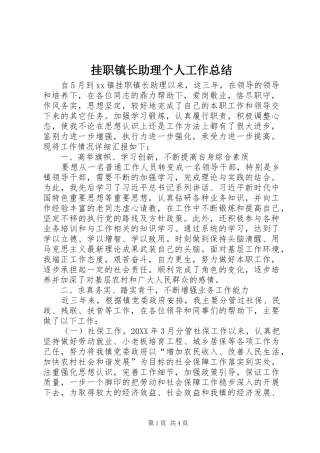 挂职镇长助理个人工作总结