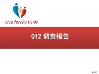 Q12调查报告