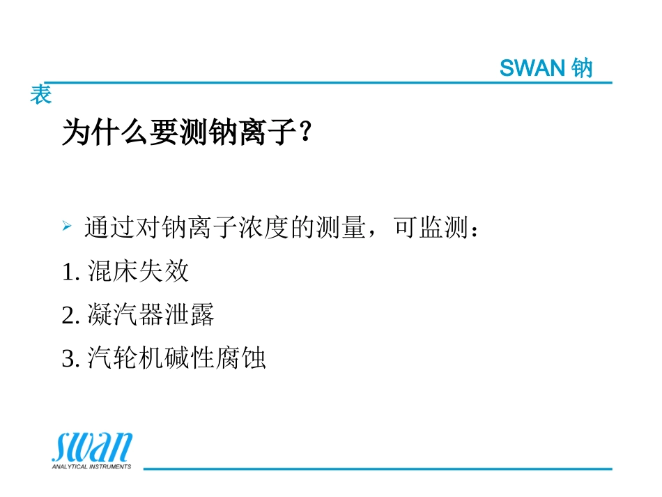 SWAN在线水质分析钠表_第2页