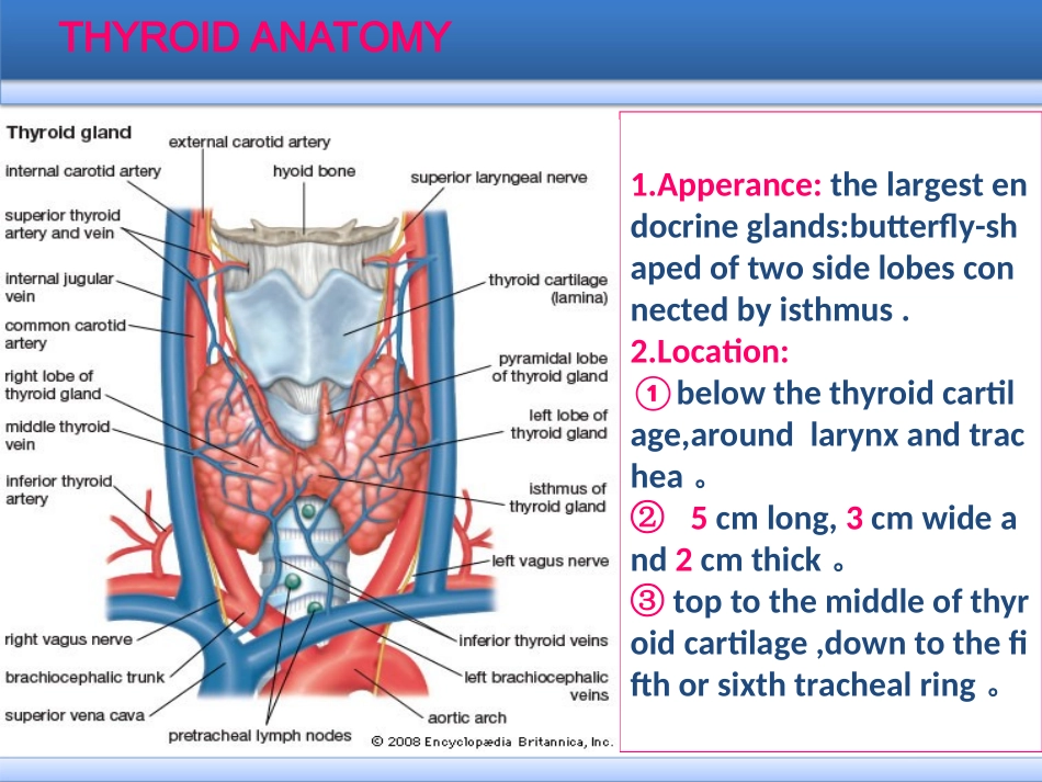 thyroid甲状腺癌全英文简版文档_第3页