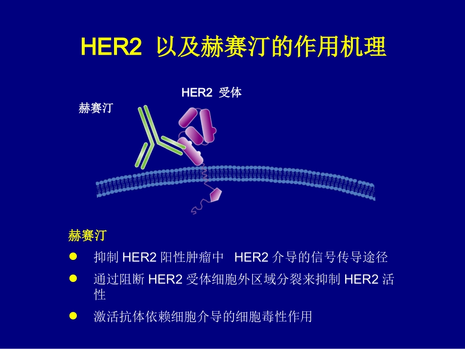 ToGA研究报告_第3页