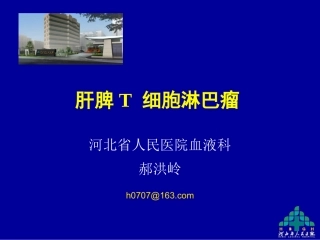 T细胞淋巴瘤郝总结