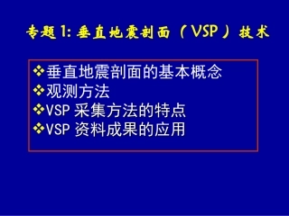 VSP文字部分