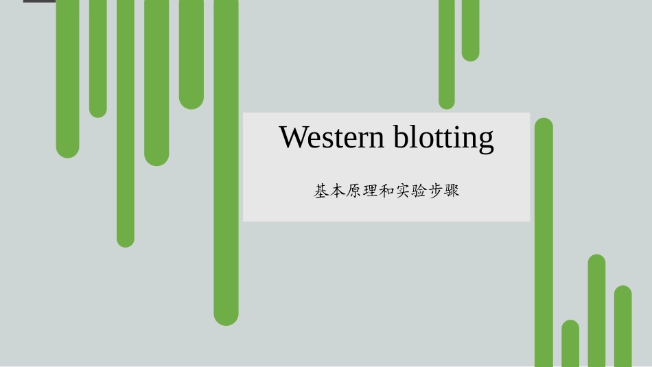 Westernblot实验原理和实验步骤_第1页