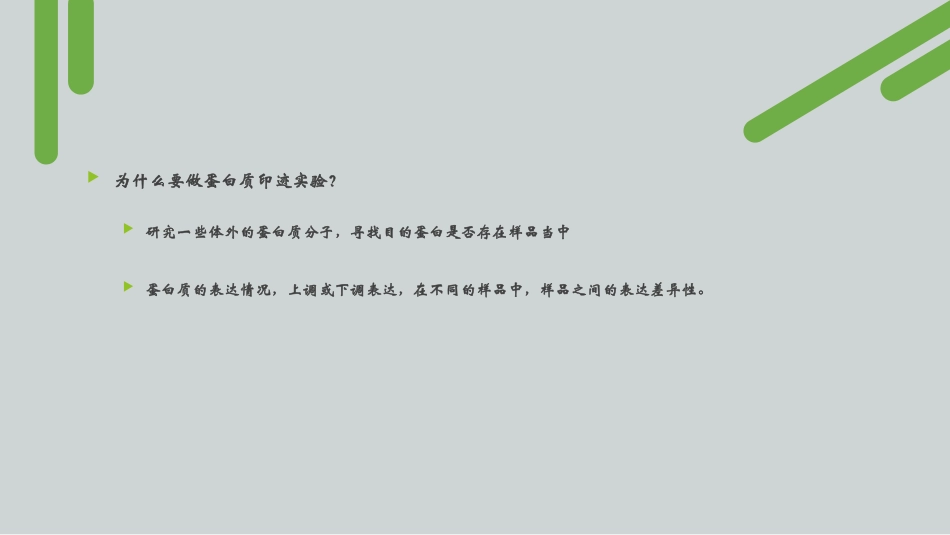 Westernblot实验原理和实验步骤_第2页