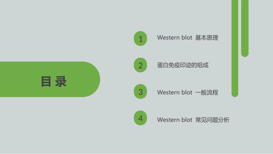 Westernblot实验原理和实验步骤_第3页