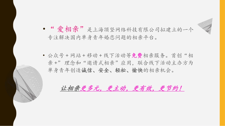 爱相亲专注解决国内单身青年婚恋问题的相亲平台创业商业计划书_第2页