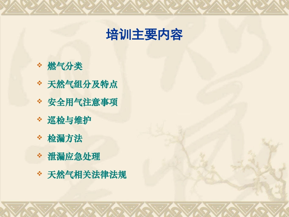 安全用气知识培训_第2页