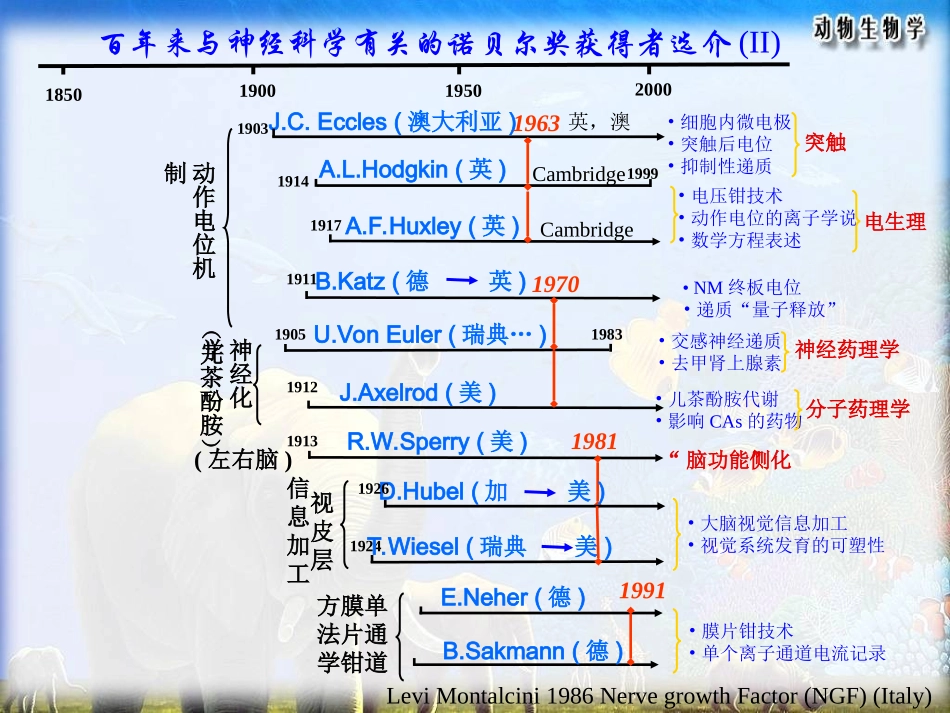 百年来和神经科学有关的诺贝尔奖获得者选介I_第3页
