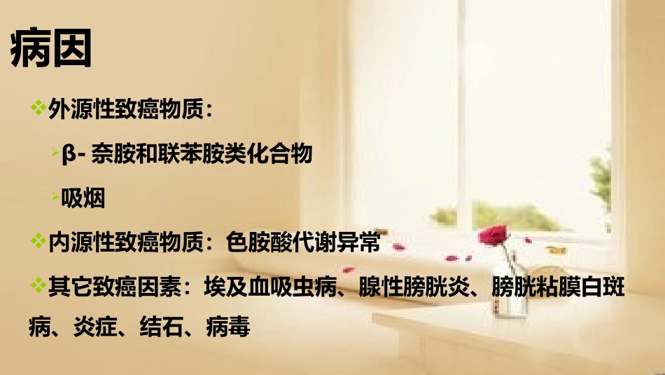 膀胱癌围手术期护理_第3页