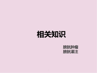 膀胱灌注医学课件