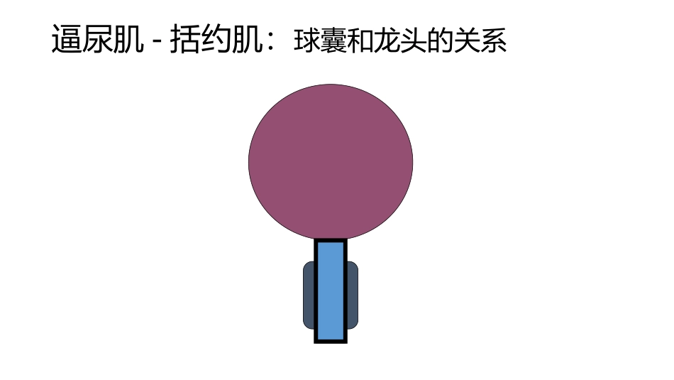 膀胱容量和压力测定_第3页
