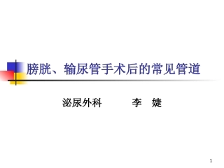 膀胱输尿管管道课件