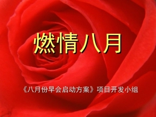 保险公司早会经营方略典型早会操作流程早会分类菜单