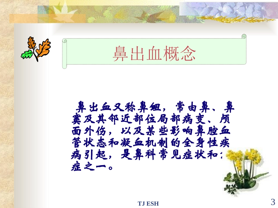 鼻出血幻灯片课件_第3页