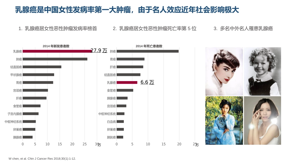吡咯替尼科室会_第2页
