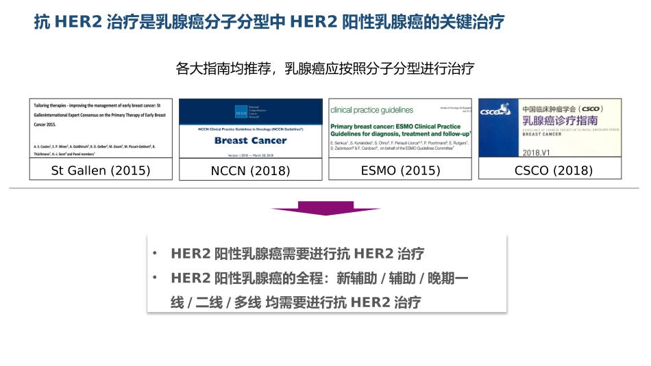 吡咯替尼科室会_第3页