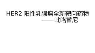 吡咯替尼科室会