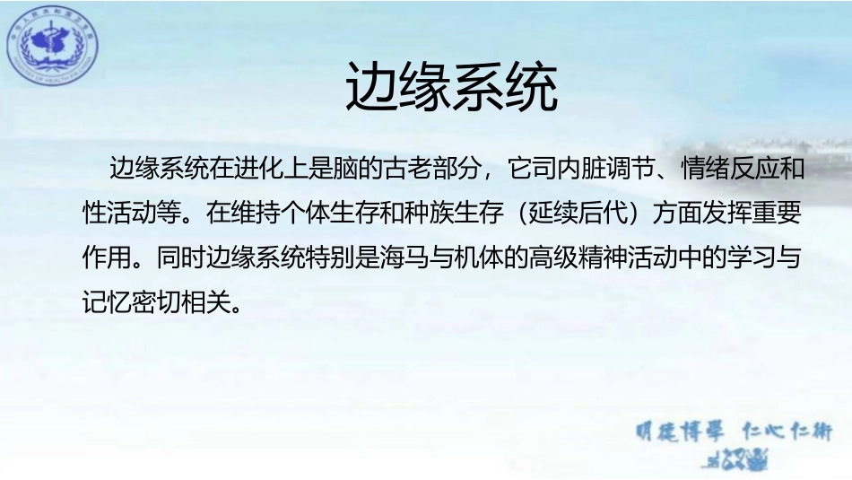 边缘系统limbicsystem构成及功能_第1页