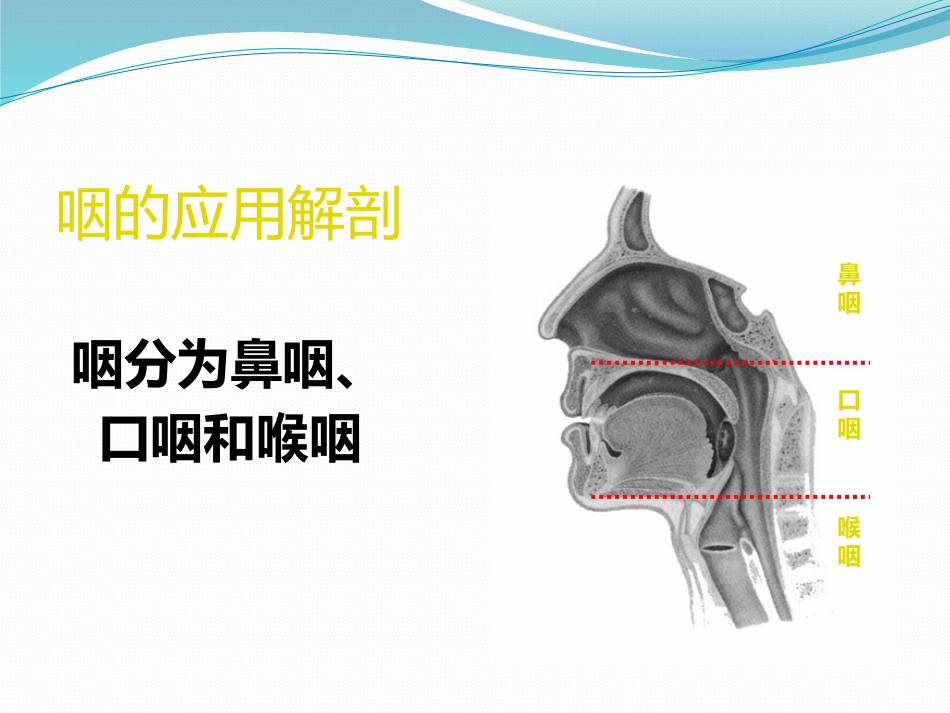 扁桃体的护理_第2页