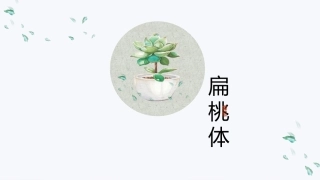 扁桃体解剖和疾病