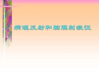 病理反射和脑膜刺激征