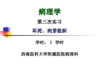 病理实验坏死肉芽组织绘图作业