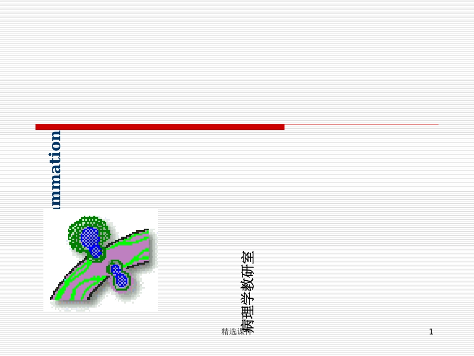 病理学炎症课件_第1页