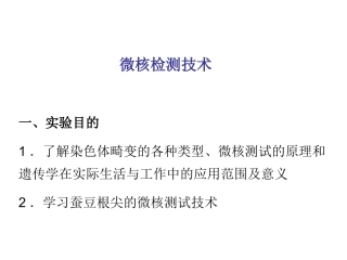 蚕豆根尖微核检测技术