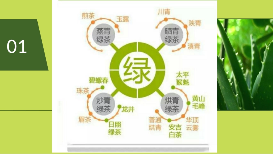 茶的分类及贵州茶区_第2页