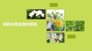 茶的分类及贵州茶区