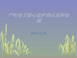 产时电子胎心监护