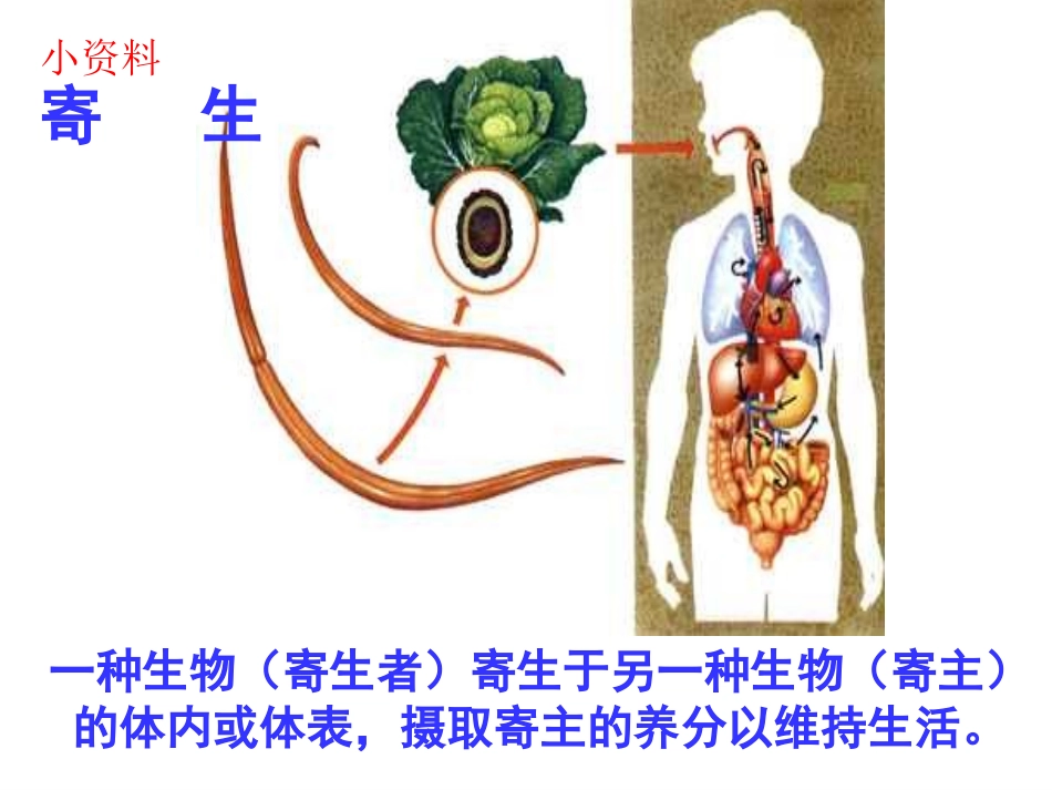 肠道寄生虫病_第2页