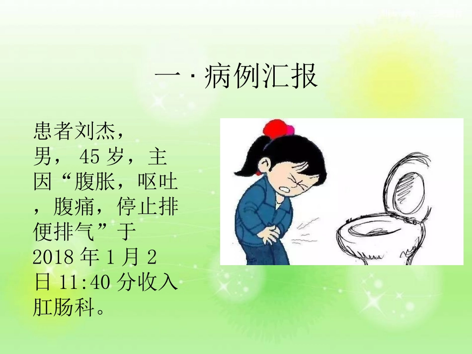 肠梗阻护理查房_第2页