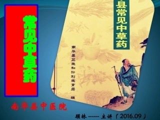 常见中草药课件