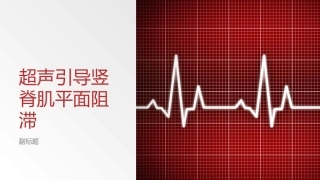 超声引导竖脊肌平面阻滞