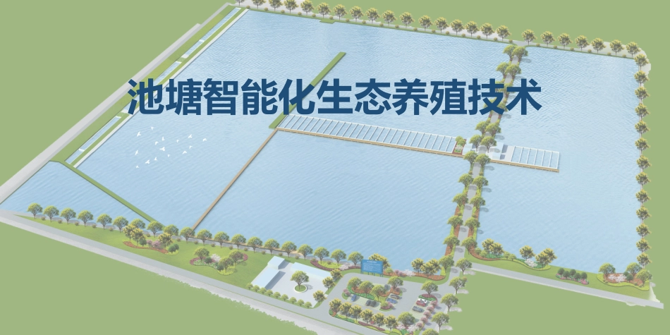 池塘智能化生态养殖技术_第1页