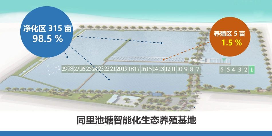池塘智能化生态养殖技术_第2页