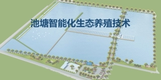 池塘智能化生态养殖技术