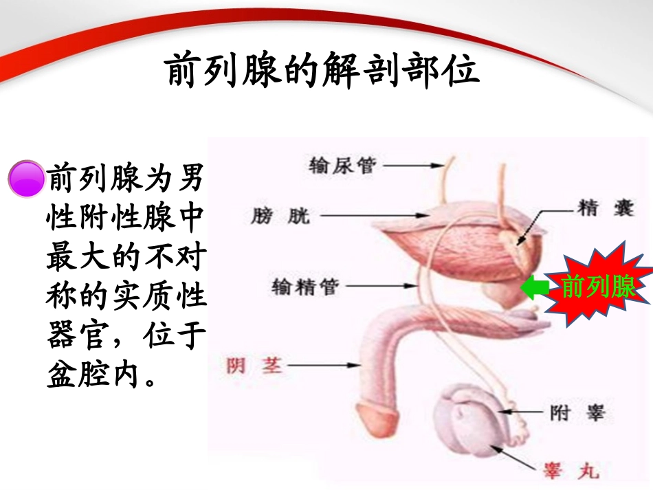 耻骨上前列腺切除术_第3页