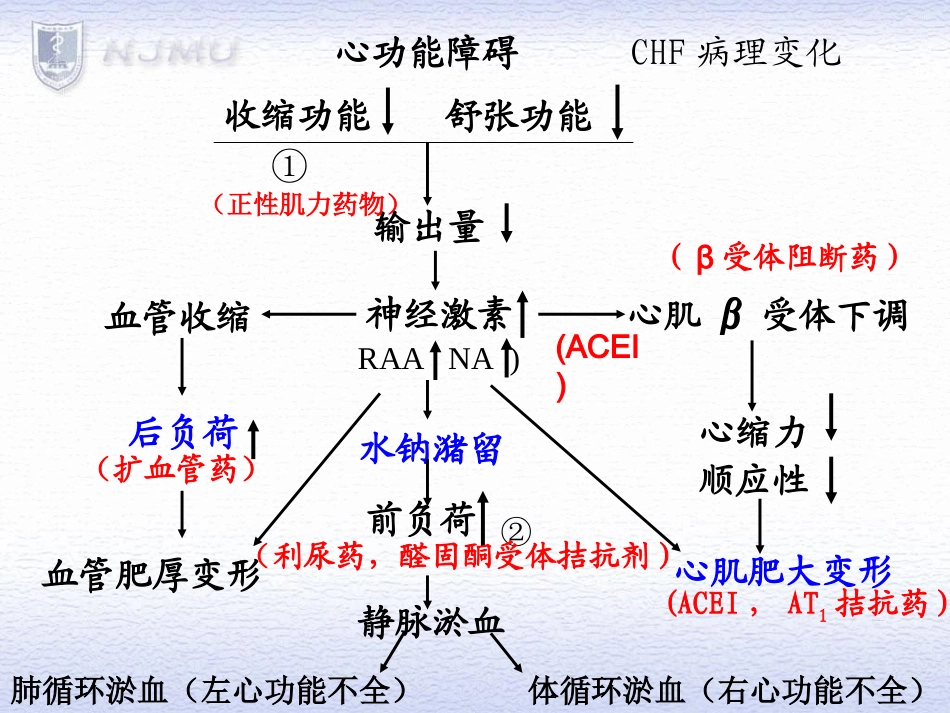 充血性心力衰竭_第3页